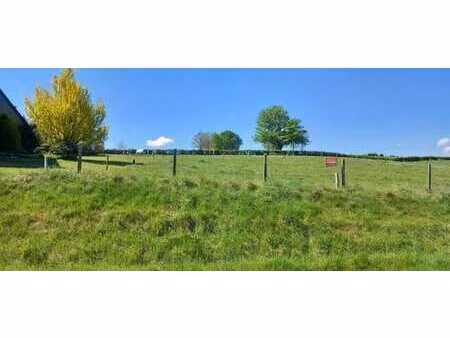 terrain à bâtir ardennes : 818m² paliseul (opont)  calme