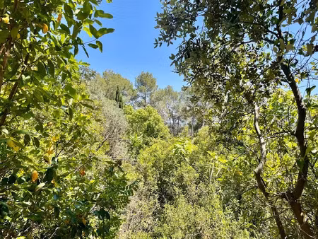 vente terrain à batir 1761 m² à montpellier (34000)  750 000 €