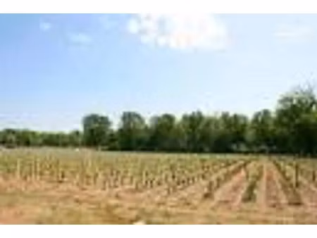 vente terrain 515 m² à cérons (33720)  116 000 €