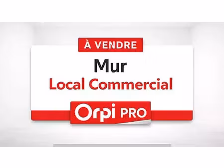 vente locaux professionnels à saint-raphael (83700)  769 000 €