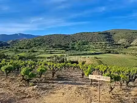 vente terrain 2425 m² à montpeyroux (34150)  209 000 €
