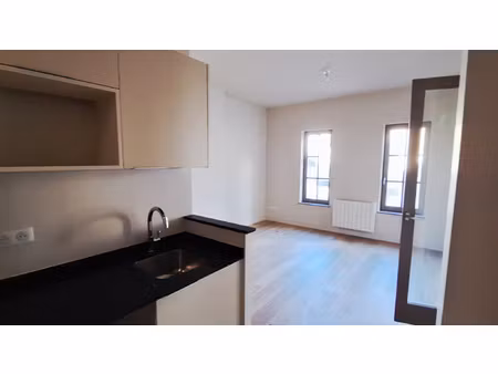 pau centre - t2 entierement renove