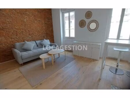t1 meublé - st cyprien