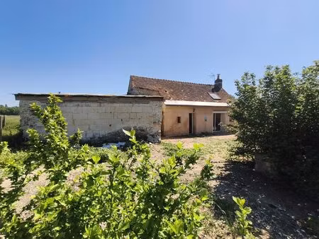 maison a fort potentiel