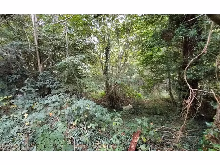 terrain saint-priest-taurion m² t- à vendre  19 900 €