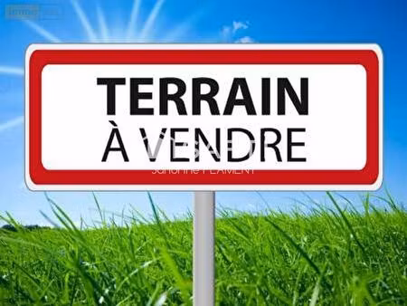 vente terrain