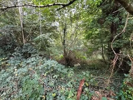 terrain constructible à vendre