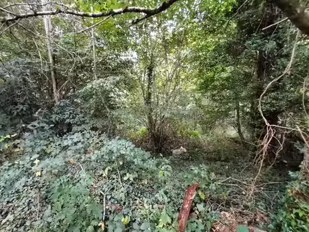 terrain constructible neuf à vendre