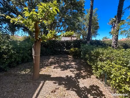 grand t2 borgo avec jardin