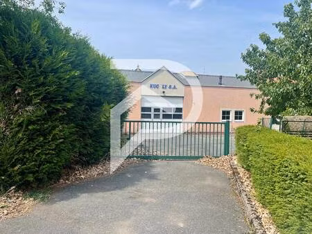 stephane plaza immobilier