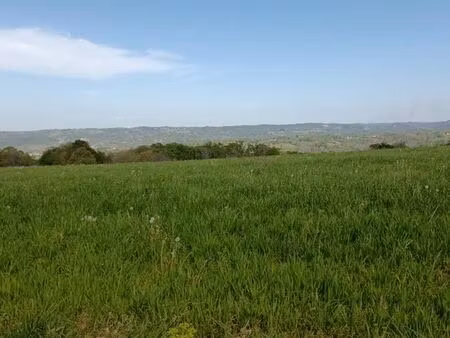 cherche maison en location