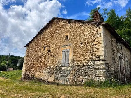 vapillon anne