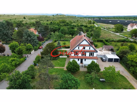 wittelsheim  maison de caractère de 228 m2 sur 16 ares de te
