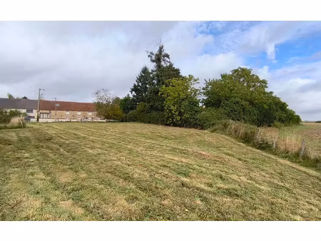 terrain bellot m² t- à vendre  50 000 €