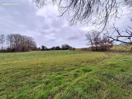 vente | terrain agricole | 9000 m² | lévignac
