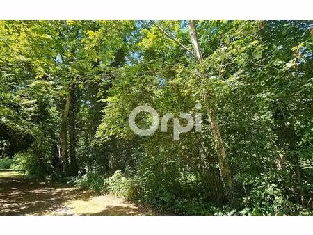terrain montcourt-fromonville m² t- à vendre  14 000 €