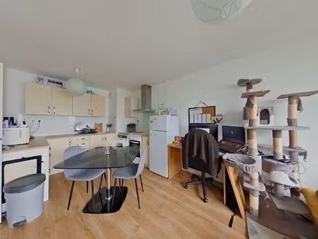 appartement tours 2 pièces 42 m² - quartier monconseil