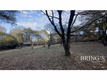 terrain spacieux et divisible de 4000 m² 