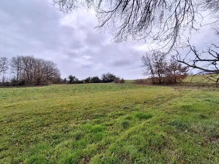 terrain agricole