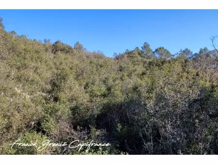 terrain à vendre tourves (83)