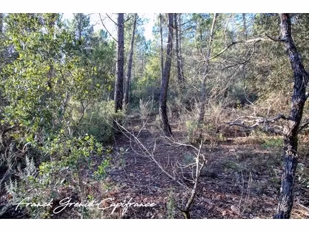terrain naturel 55050m² tourves (83)