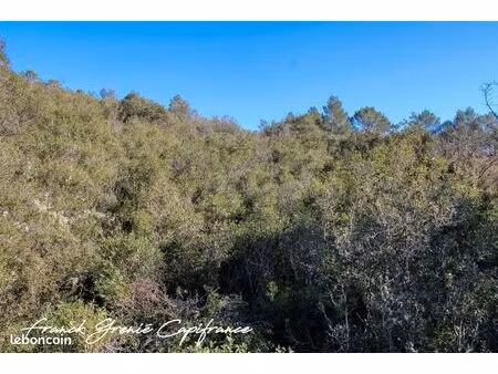 terrain 27 600 m² tourves