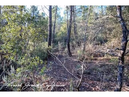 terrain 55 050 m² tourves
