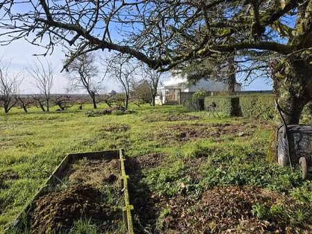 vente terrain à orée d'anjou (49270) : à vendre / orée d'anjou