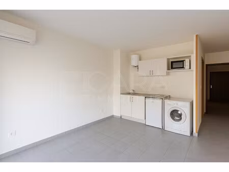 location appartement 1 pièce 21m² cayenne 97300