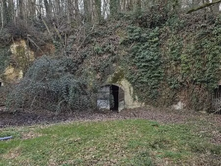 terrain