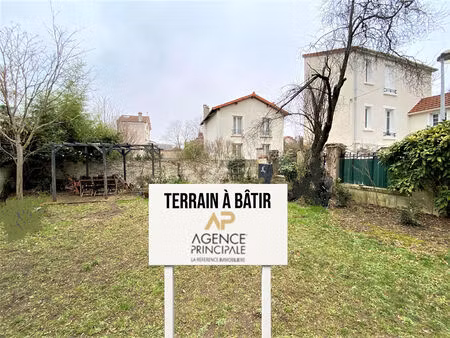 terrain