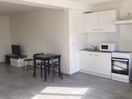location appartement 1 pièce 35 m² à loyettes (01360)