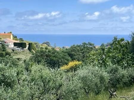 nice  route de bellet  terrain avec permis de construire