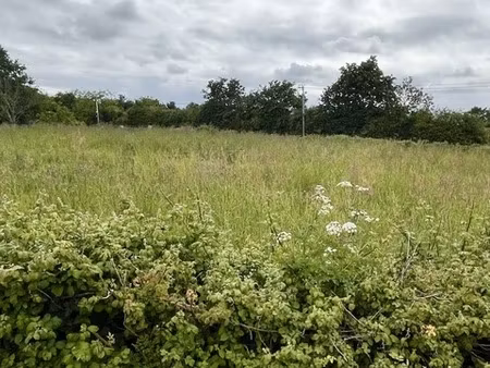 en vente terrain constructible 8 28 ares – 77 000 € |legé
