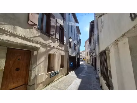 vente immeuble castelnaudary (11400)