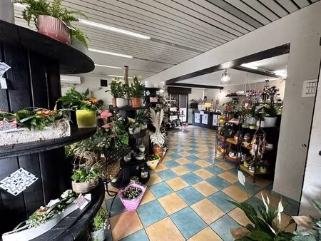achat maison 11 pièces 268m² chereng 59152