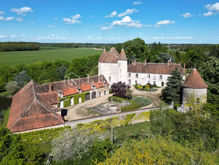 vente demeure d'exception à châteaumeillant (18370) : à vendre / 500m² châteaumeillant