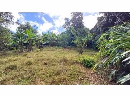 terrain constructible à vendre