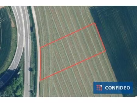 terrain agricole à vendre à op den ketzingerweg zn riemst (rbv89594)