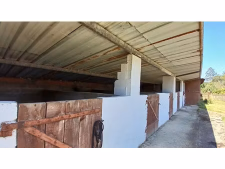 vente maison 7 pièces 220 m² à mimbaste (40350)  495 000 €
