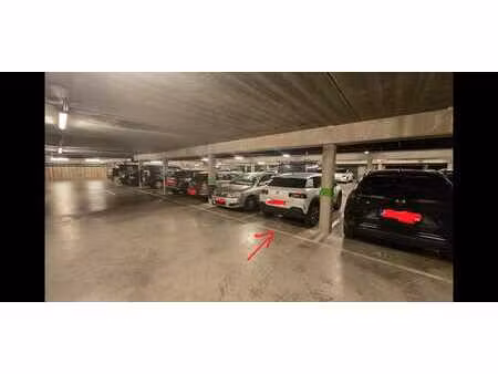 parking wiels - forest