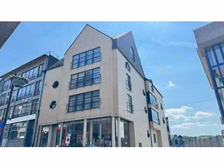 appartement spacieux de 2 chambres au cœur de grammont