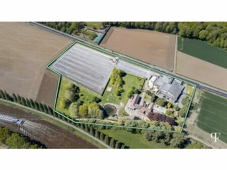 maison à vendre avec garage et terrasse   pecq (rbv89544)