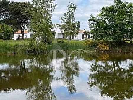 vente maison piscine à saint-gilles-croix-de-vie (85800) : à vendre piscine / 371m² saint-