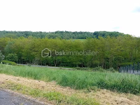 vente terrain 8591 m² à pouru-aux-bois (08140)  46 500 €