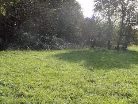 vente terrain 1762 m² à saint-front-de-pradoux (24400)  23 700 €