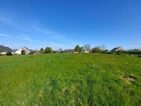 vente terrain au pertre (35370) : à vendre / 1263m² le pertre