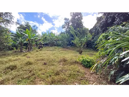vente terrain à batir 1000 m² à le lamentin (97232)  162 595 €