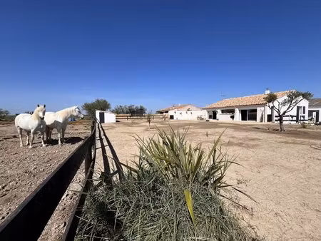 arles - en camargue - mas - dependance - hangar - 5 chambres - e