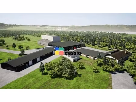 location local d’activités monce en belin 72230 300m²